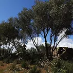 Bed & Breakfast B&B Terra E Smeralda Arzachena