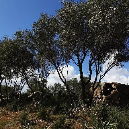 فندق مبيت وإفطار B&B Terra E Smeralda أرتْساكينا