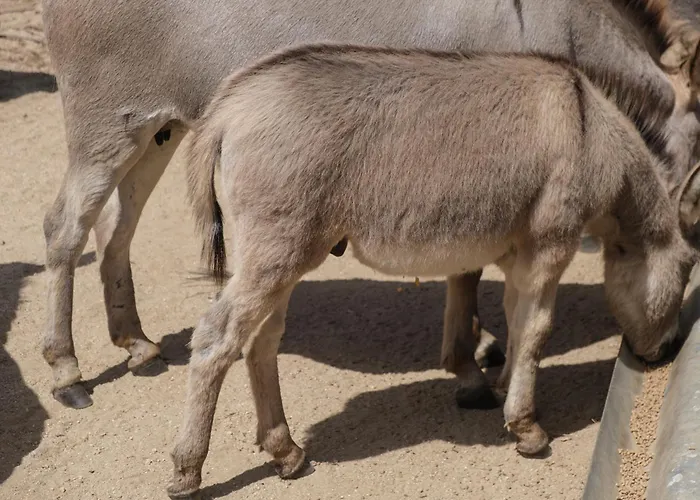 B&B Terra E Smeralda 3*