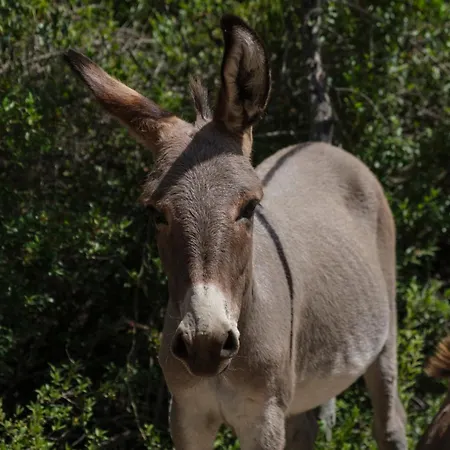 Nocleg ze śniadaniem Terra E Smeralda