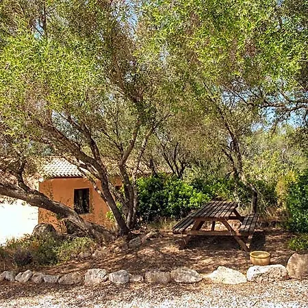Bed & Breakfast B&B Terra E Smeralda