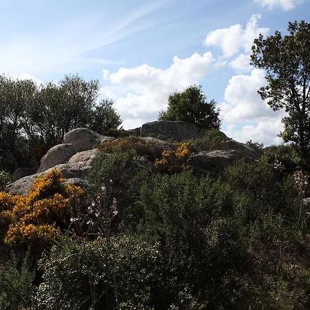 Bed & Breakfast B&B Terra E Smeralda 3*