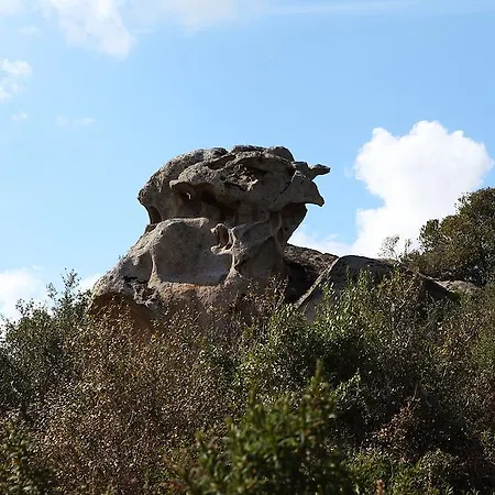 Terra E Smeralda Arzachena