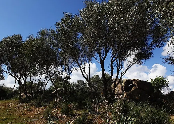 Oda ve Kahvaltı Terra E Smeralda Arzachena