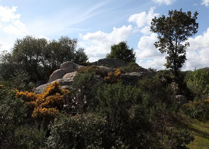 Oda ve Kahvaltı Terra E Smeralda 3*