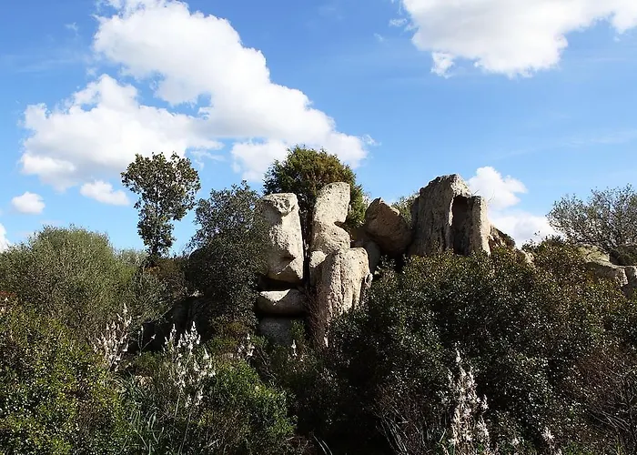 住宿加早餐酒店 Terra E Smeralda 阿尔扎凯纳