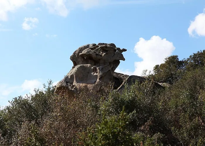 Terra E Smeralda Arzachena